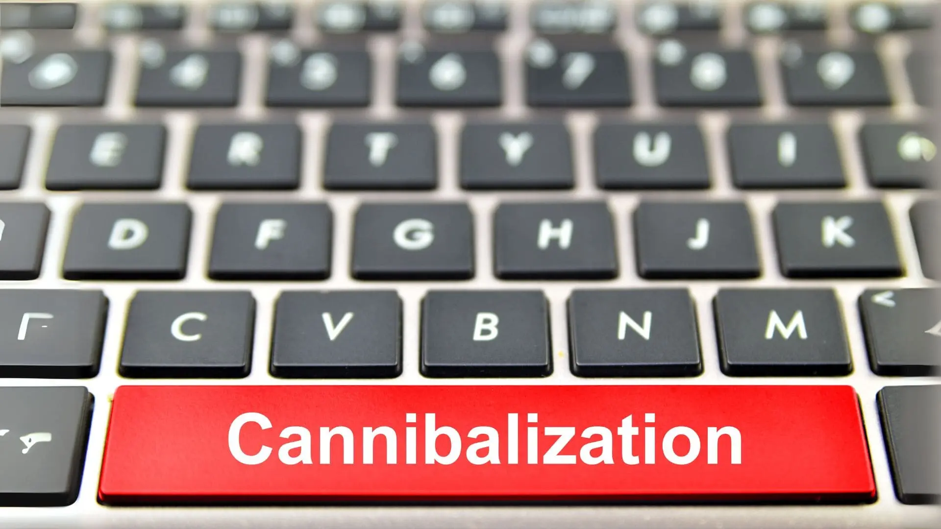 cannibalisation seo